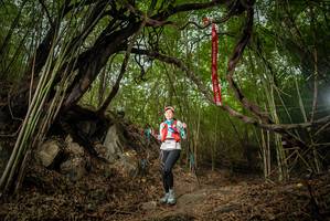 BIB: 
                            <button type="button" onclick="openModal(22178760)" class="btn btn-primary btn-sm float-right btn-popup" data-toggle="modal" data-target=".modal-high-quality">
                        <i class="fas fa-shopping-cart"></i> Add to Cart
                    </button>
                                            <button type="button" onclick="isThisMe(22178760, true)" class="btn btn-success btn-sm float-right btn-popup btn-isme hidden" data-toggle="tooltip" data-placement="bottom" title="นี่คือรูปของคุณใช่ไหม คลิกที่นี่เพื่อเอาเข้าอัลบั้ม">
                        <i class="fas fa-plus"></i> Add to album
                    </button>
                    <button type="button" onclick="isThisMe(22178760, false)" class="btn btn-warning btn-sm float-right btn-popup btn-isnotme hidden">
                        <i class="fas fa-ban"></i> Remove from album
                    </button>